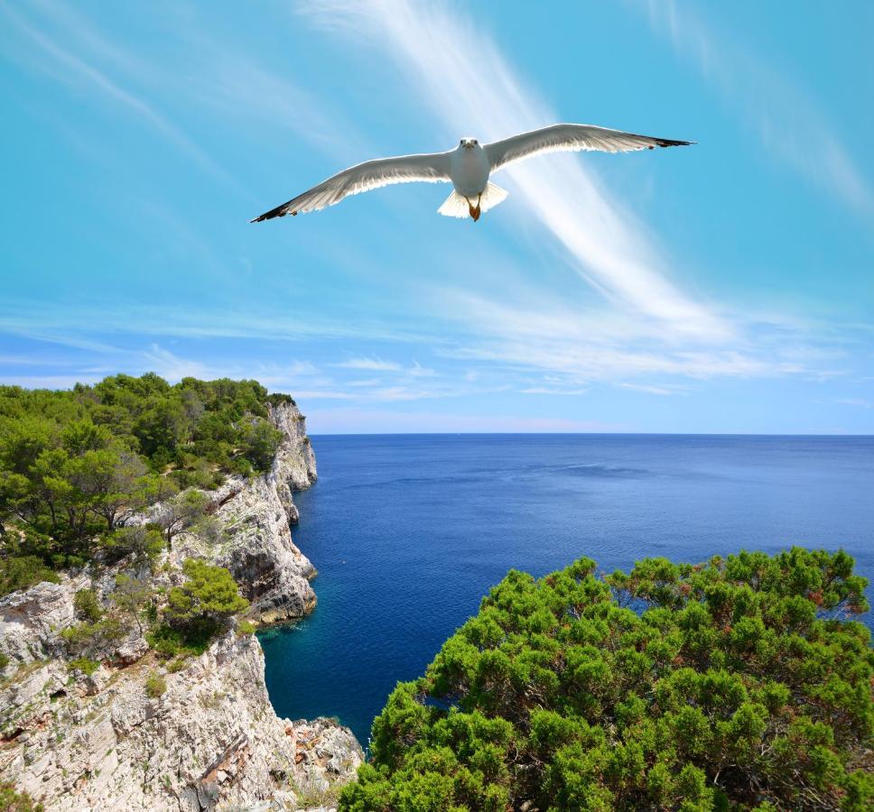 Pansion Alen - Dugi Otok Bed & Breakfast Luka  Екстериор снимка