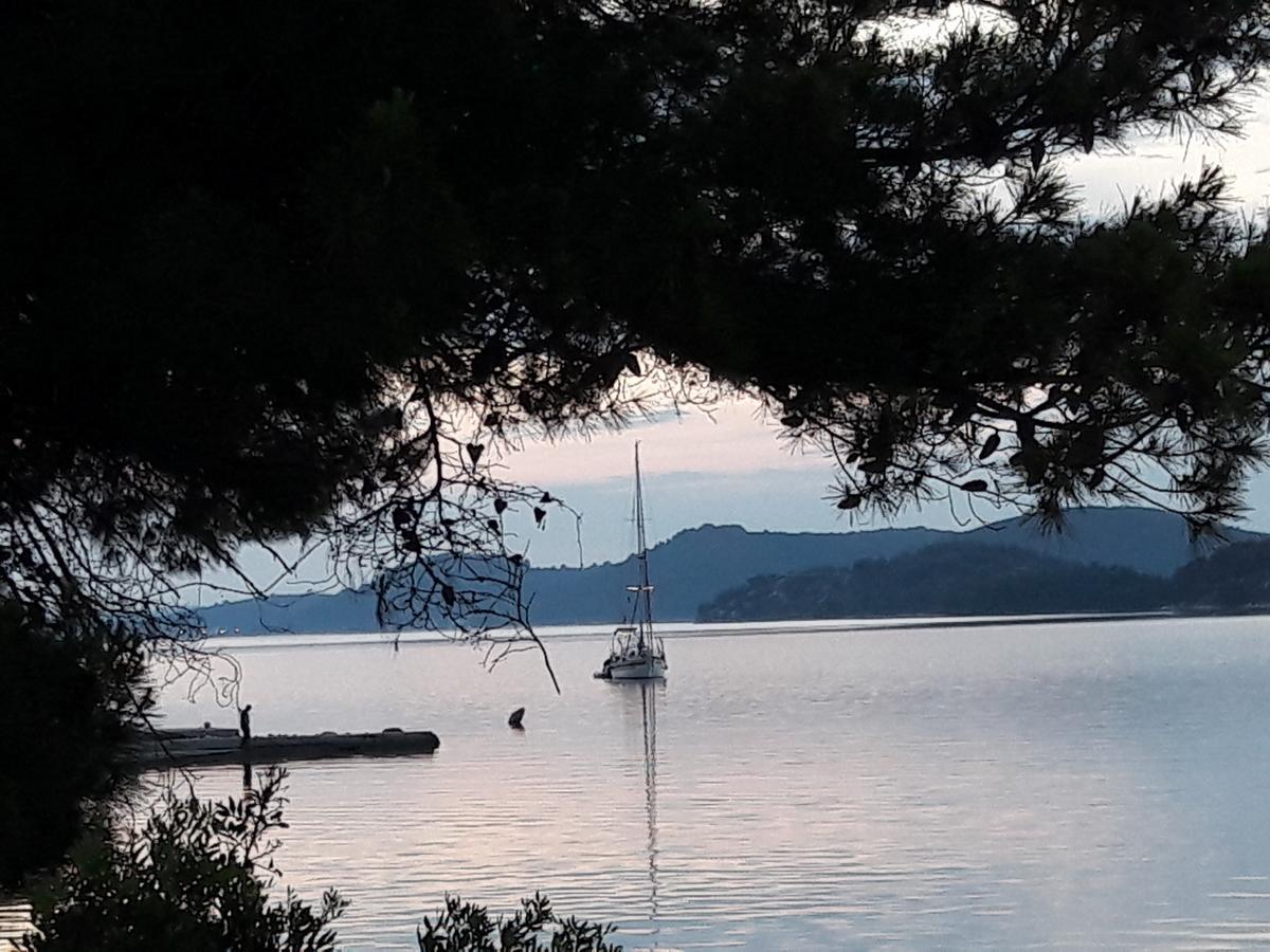 Pansion Alen - Dugi Otok Bed & Breakfast Luka  Екстериор снимка